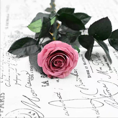 Eternal Elegance Preserved Rose Stem - The Perfect Gift for Weddings, Home Decor & Mother's Day  - Très Elite