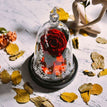 real red rose