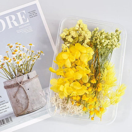 Eternal Floral Inspirations: Preserved Petals for Creative Expressions - Très Elite