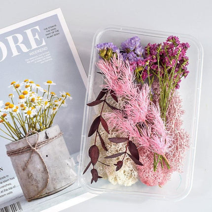 Eternal Floral Inspirations: Preserved Petals for Creative Expressions - Très Elite