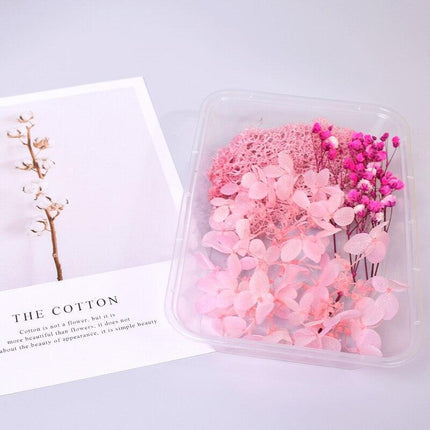 Eternal Floral Inspirations: Preserved Petals for Creative Expressions - Très Elite