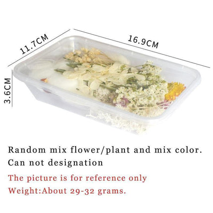 Eternal Floral Inspirations: Preserved Petals for Creative Expressions - Très Elite