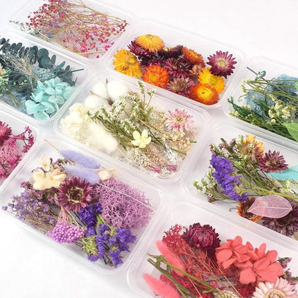 Eternal Floral Inspirations: Preserved Petals for Creative Expressions - Très Elite
