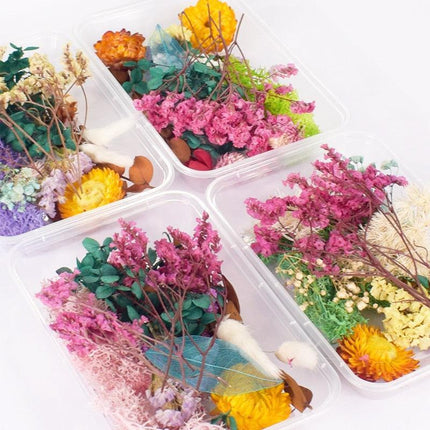 Eternal Floral Inspirations: Preserved Petals for Creative Expressions - Très Elite