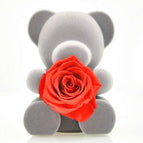 Bear Rose-Red