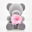 Bear Rose-Pink / Overseas