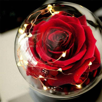 Eternal Glow Rose Dome - Illuminated Floral Beauty