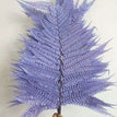 blue purple