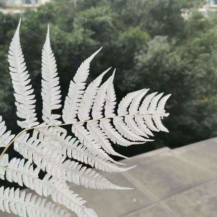 Eternal Green Fiddlehead Ferns Set - 10 Pieces (25x40cm) - Très Elite