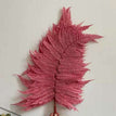 deep pink