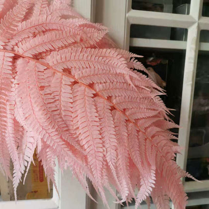Eternal Green Fiddlehead Ferns Set - 10 Pieces (25x40cm) - Très Elite