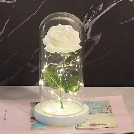 Eternal Rose LED Glass Dome for Enchanting Decor