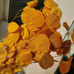 deep yellow