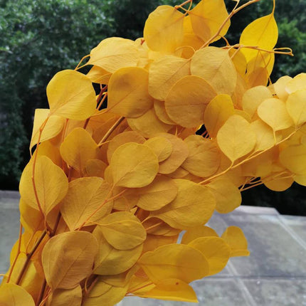 Eucalyptus Elegance - A Lasting Essence for Celebrations and Home Decor - Très Elite