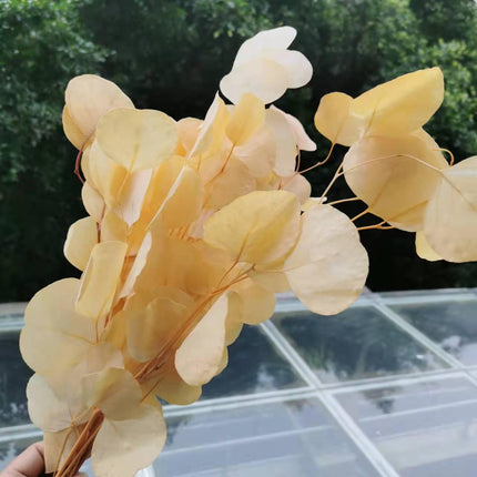 Eucalyptus Elegance - A Lasting Essence for Celebrations and Home Decor - Très Elite