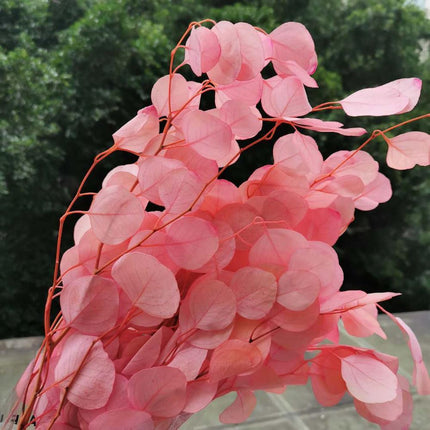 Eucalyptus Elegance - A Lasting Essence for Celebrations and Home Decor - Très Elite