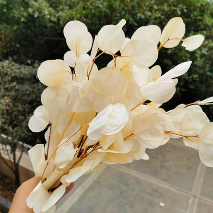 Eucalyptus Elegance - A Lasting Essence for Celebrations and Home Decor - Très Elite