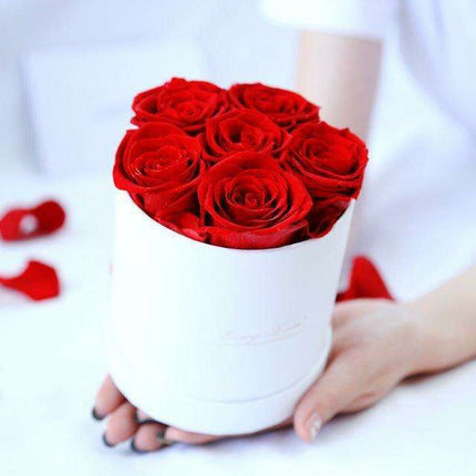 Everlasting Romance: 12 Stem Preserved Red Rose Bouquet in Elegant Round Case - Très Elite