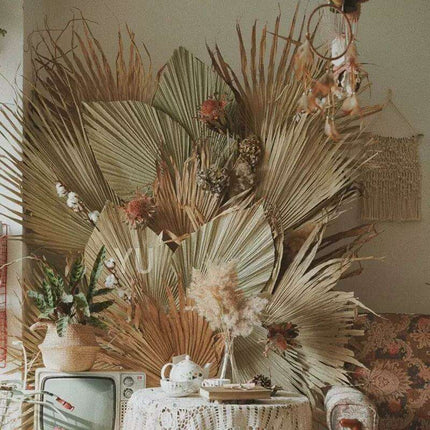 Exquisite Bohemian Dried Palm Fronds Collection - Très Elite