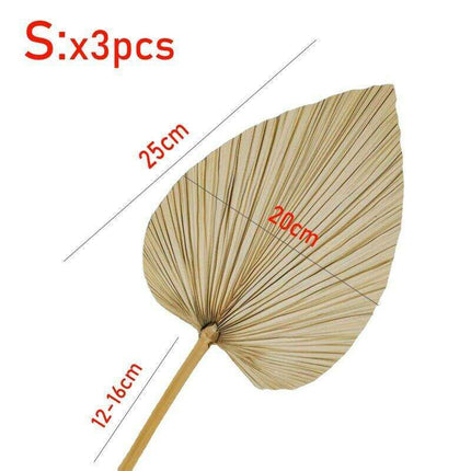 Exquisite Bohemian Dried Palm Fronds Collection - Très Elite
