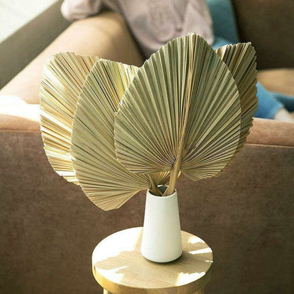 Exquisite Bohemian Dried Palm Fronds Collection - Très Elite