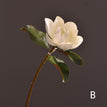 1 pc / B