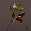 1 pc / E - Fuchsia green