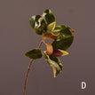 1 pc / D -White green