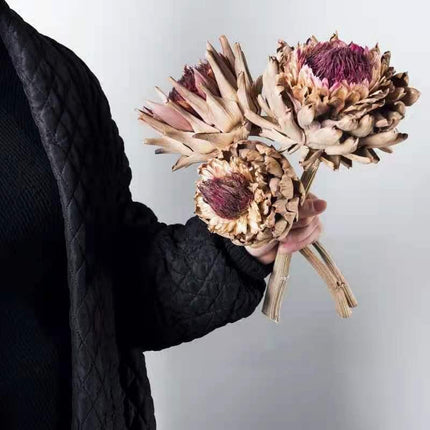 Exquisite Dried Protea Cynaroides Floral Arrangement for Elegant Home Styling - Très Elite