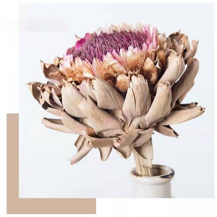 Exquisite Dried Protea Cynaroides Floral Arrangement for Elegant Home Styling - Très Elite