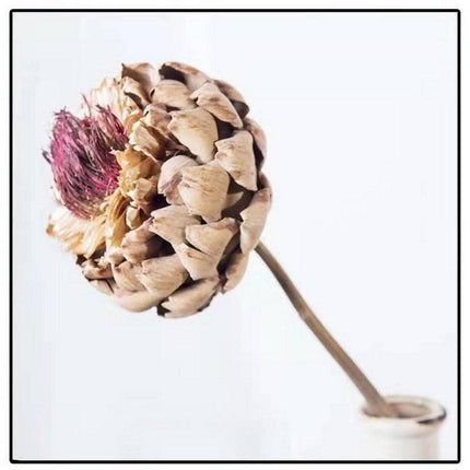 Exquisite Dried Protea Cynaroides Floral Arrangement for Elegant Home Styling - Très Elite