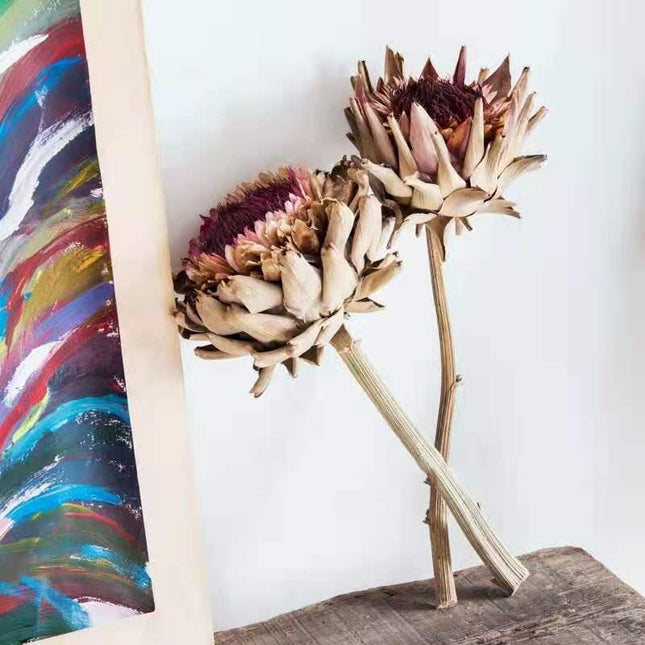 Exquisite Dried Protea Cynaroides Floral Arrangement for Elegant Home Styling