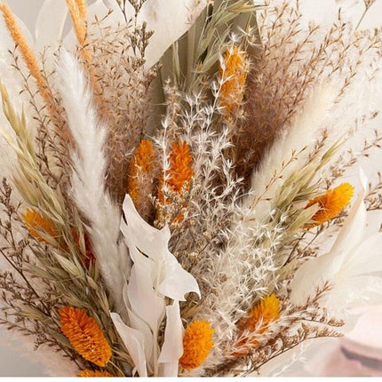 Exquisite Pampas Grass Arrangement - Timeless Elegance for Your Home - Très Elite