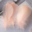 Champagne / 8-12cm 100pcs