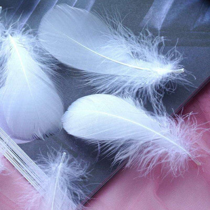 Feather Elegance Crafting Set: Enhance Weddings, Fashion, and Creative Projects - Très Elite