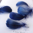 navy / 8-12cm 100pcs