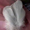 Gray / 8-12cm 100pcs