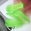 Fruit green / 8-12cm 100pcs