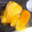Gold yellow / 8-12cm 100pcs