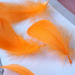 Orange / 8-12cm 100pcs