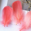 Watermelon red / 8-12cm 100pcs