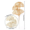 Ginkgo