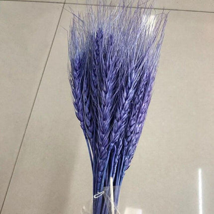 Golden Wheat Ear Dried Bouquet Collection - 45 Natural Stalks - Très Elite