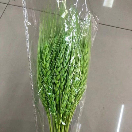 Golden Wheat Ear Dried Bouquet Collection - 45 Natural Stalks - Très Elite
