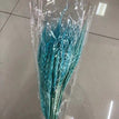blue / 50pcs a lot