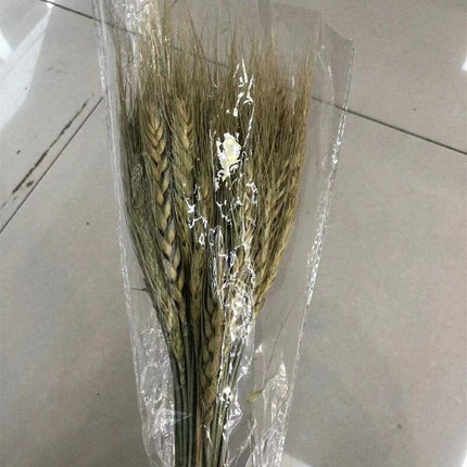 Golden Wheat Ear Dried Bouquet Collection - 45 Natural Stalks - Très Elite