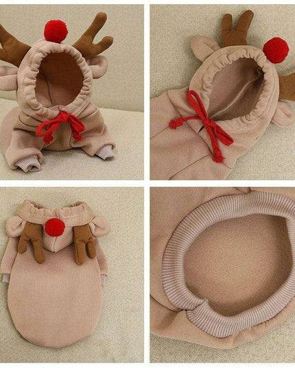 Chic Hooded Winter Jacket for Small Dogs - Fashionable Warmth for Tiny Tails