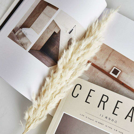 Elegant Vintage White Pampas Grass Bouquet - A Touch of Timeless Charm