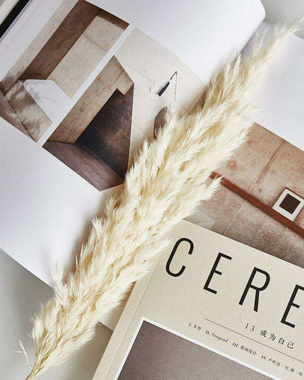 Elegant Vintage White Pampas Grass Bouquet - A Touch of Timeless Charm