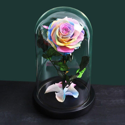 Timeless Romance: Stunning Preserved Rose in Glass Cloche - Authentic Bloom, Lasting Elegance, Enduring Beauty